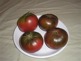 Black Krim