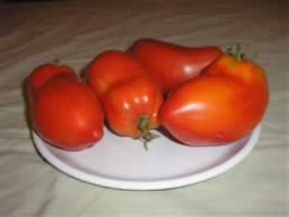 San Marzano Redorta