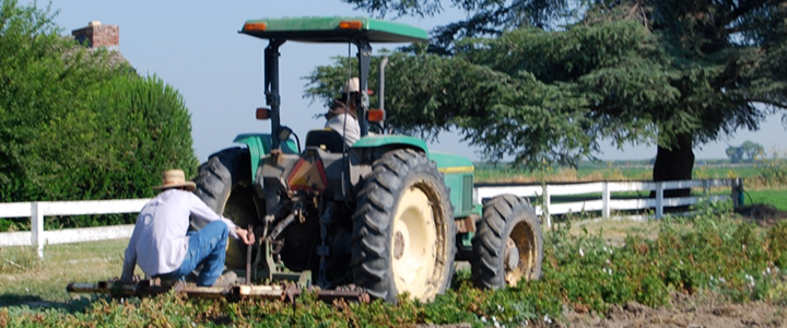 Planting the garden